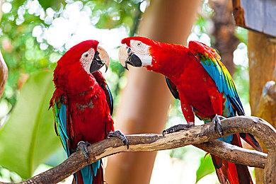 《奥德赛：星际远征》Steam抢测 星际建设探索